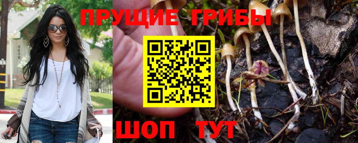 Псилоцибиновые грибы мухоморы  Галлюциногенные грибы Psilocybine cubensis  Сызрань  где найти наркотики  Вход с VPN 